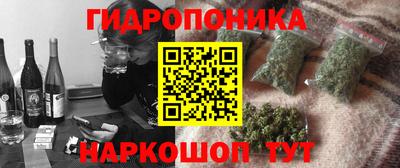 ешки Гусь-Хрустальный