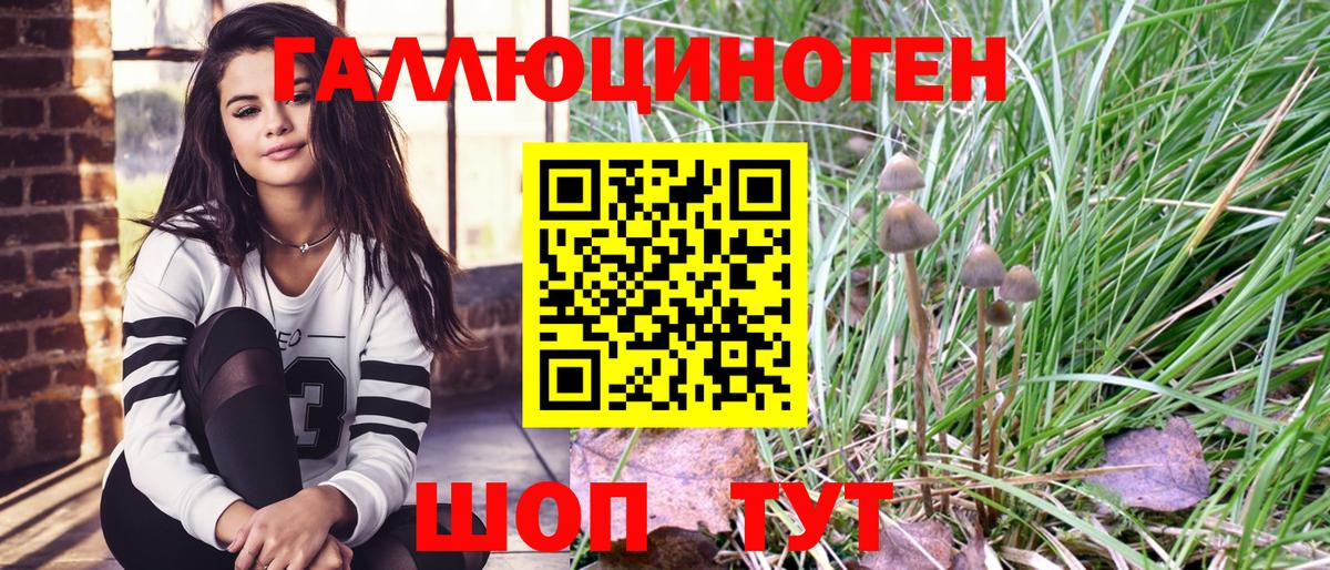 Псилоцибиновые грибы мухоморы Можайск